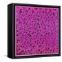 Untitled, June 1, 1984-Keith Haring-Framed Stretched Canvas