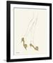 Untitled (Legs and High Heels), c. 1957-null-Framed Art Print