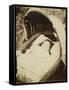 Untitled (Possibly Alice Gertrude Langton Clarke), 1864-Lewis Carroll-Framed Stretched Canvas