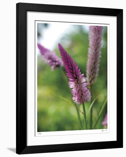 Untitled Purple-John Gynell-Framed Giclee Print