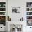 Untitled (Samo, New York)-Jean-Michel Basquiat-Mounted Giclee Print displayed on a wall