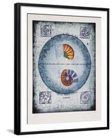 Untitled - Shell Study-Tighe O'Donoghue-Framed Collectable Print