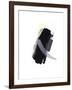 Untitled Study 28-Jaime Derringer-Framed Giclee Print