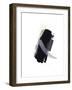 Untitled Study 28-Jaime Derringer-Framed Giclee Print