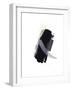 Untitled Study 28-Jaime Derringer-Framed Giclee Print