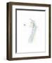 Untitled Study 30-Jaime Derringer-Framed Giclee Print