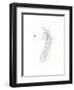 Untitled Study 30-Jaime Derringer-Framed Giclee Print