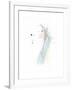 Untitled Study 30-Jaime Derringer-Framed Giclee Print