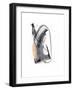 Untitled Study 31-Jaime Derringer-Framed Premium Giclee Print