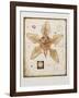 Untitled-Tighe O'Donoghue-Framed Limited Edition