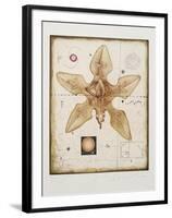 Untitled-Tighe O'Donoghue-Framed Limited Edition