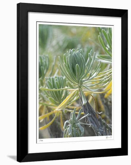 Untitled-John Gynell-Framed Giclee Print