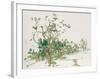 untitled-Jean Commere-Framed Collectable Print