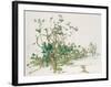 untitled-Jean Commere-Framed Collectable Print