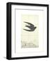 Untitled-Alain Le Yaouanc-Framed Collectable Print