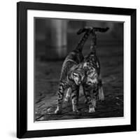 Untitled-null-Framed Giclee Print