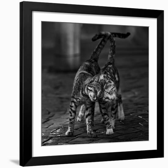 Untitled-null-Framed Giclee Print