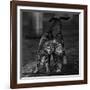 Untitled-null-Framed Giclee Print