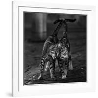 Untitled-null-Framed Giclee Print