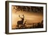 Untitled-Radojica Jevric Fotorax-Framed Giclee Print