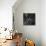 Untitled-null-Stretched Canvas displayed on a wall