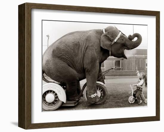 Untitled-null-Framed Premium Photographic Print