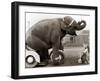 Untitled-null-Framed Premium Photographic Print