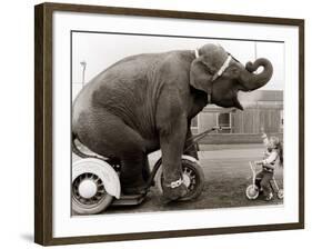 Untitled-null-Framed Photographic Print