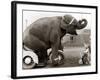 Untitled-null-Framed Photographic Print