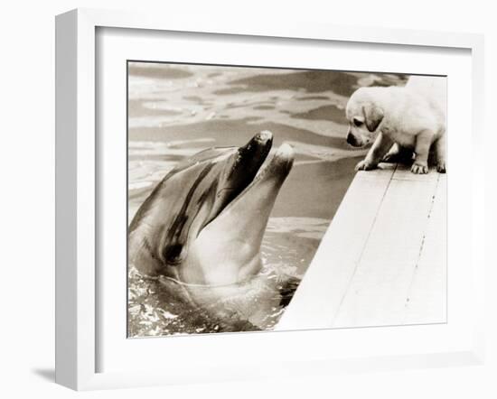 Untitled-null-Framed Premium Photographic Print