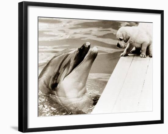 Untitled-null-Framed Photographic Print