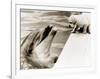 Untitled-null-Framed Photographic Print