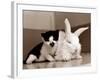 Untitled-null-Framed Photographic Print