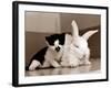 Untitled-null-Framed Photographic Print