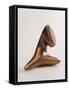 Untitled-Arp Jean-Framed Stretched Canvas