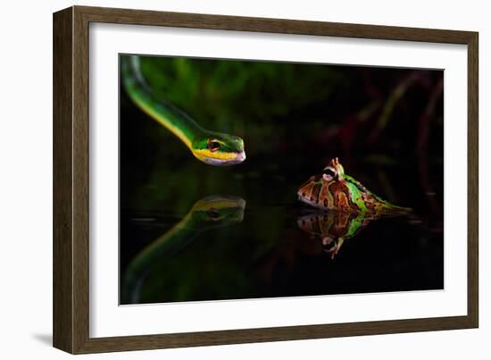 Untitled-Shikhei Goh-Framed Photographic Print