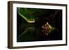 Untitled-Shikhei Goh-Framed Photographic Print