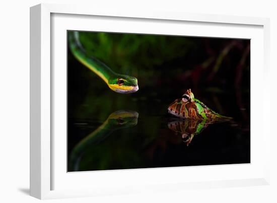 Untitled-Shikhei Goh-Framed Photographic Print