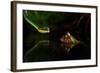 Untitled-Shikhei Goh-Framed Photographic Print