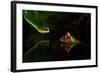 Untitled-Shikhei Goh-Framed Photographic Print