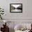 Untitled-Markus Kuhne-Framed Photographic Print displayed on a wall