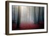 Untitled-Stanislav Hricko-Framed Photographic Print