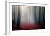 Untitled-Stanislav Hricko-Framed Photographic Print