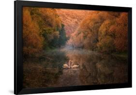 Untitled-Stanislav Hricko-Framed Photographic Print