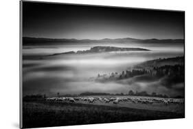 Untitled-Stanislav Hricko-Mounted Photographic Print