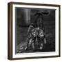 Untitled-Nebula-Framed Photographic Print