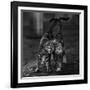 Untitled-Nebula-Framed Photographic Print