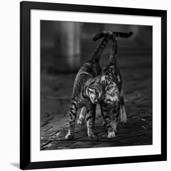 Untitled-Nebula-Framed Photographic Print
