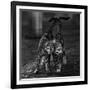 Untitled-Nebula-Framed Photographic Print