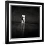 Untitled-Yaroslav Vasiliev-Apostol-Framed Photographic Print